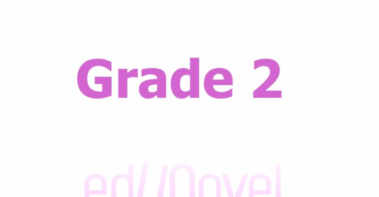 Connect Grade 1 Revision (11)
