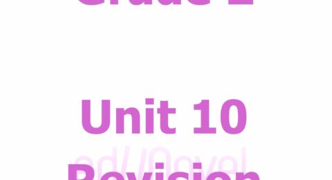 Connect Grade 1 Revision (15)